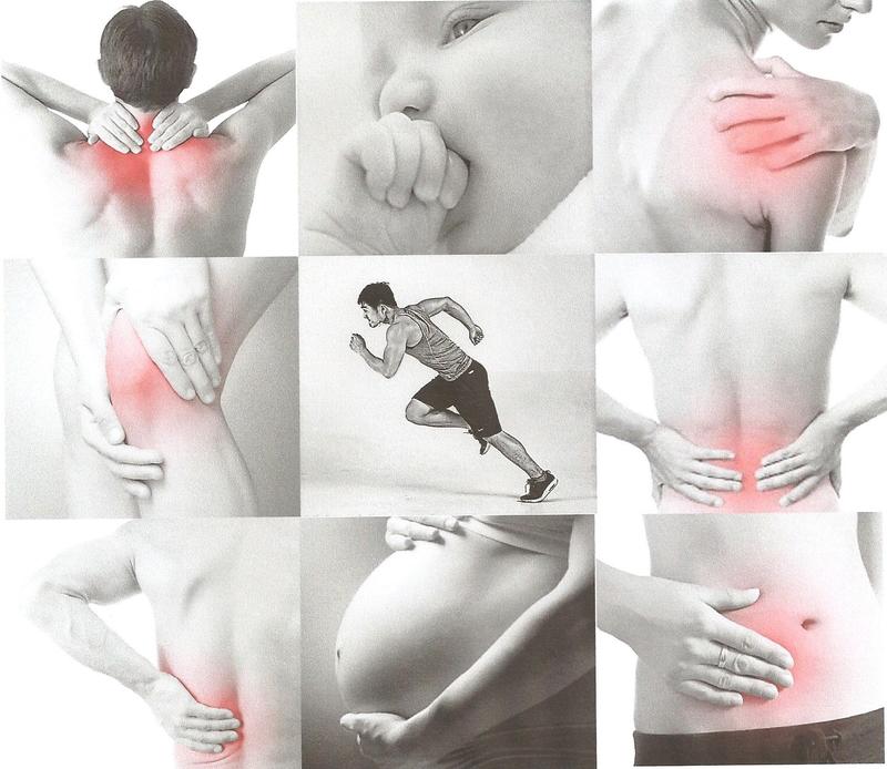 Cabinet d'ostéopathie - Elodie Guilhermet