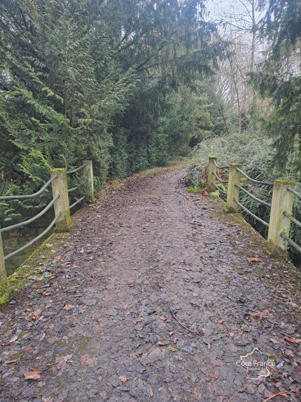 Local commercial - 739 m²