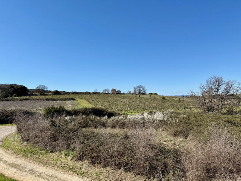 Villa - 155 m² - 6 pièces