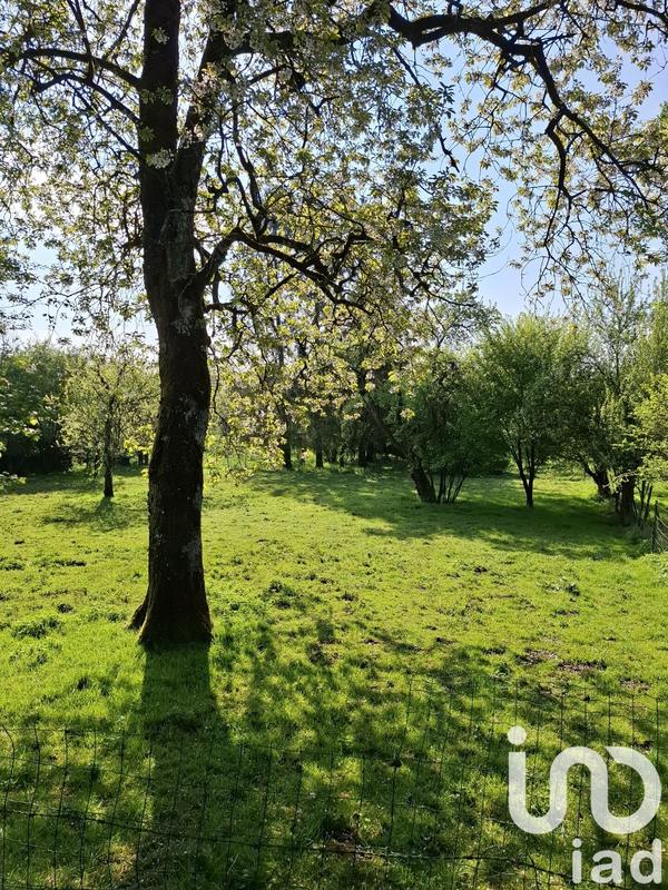 Maison de village - 130 m² - 5 pièces