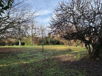 Maison - 232 m² - 5 pièces