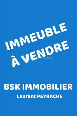 Immeuble - 379 m² - 19 pièces