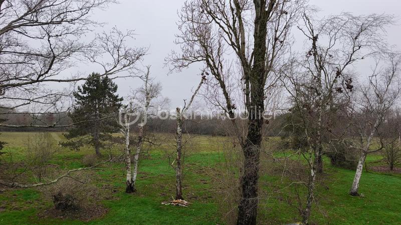 Longère - 140 m² - 5 pièces