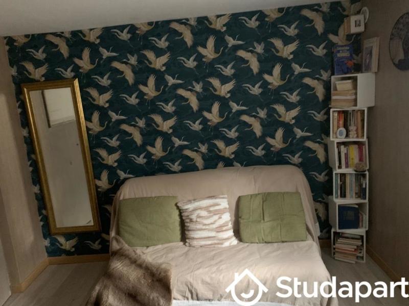 Chambre - 20 m² - 1 pièce