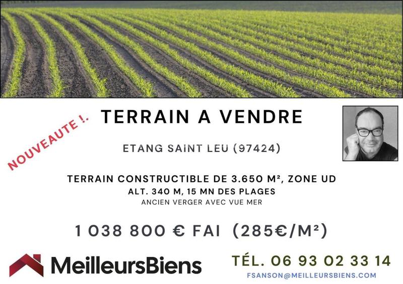 Terrain constructible - 3 650 m²