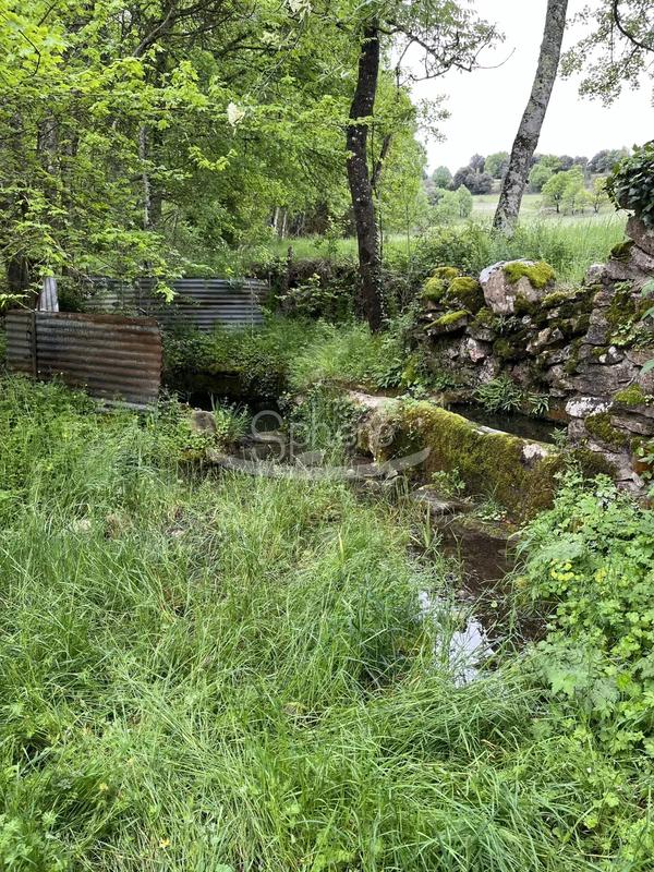 Ferme - 340 m² - 8 pièces