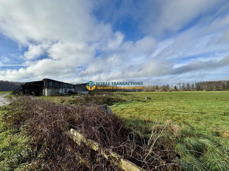 Ferme - 600 m² - 1 pièce