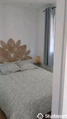 Appartement - 30 m² - 2 pièces