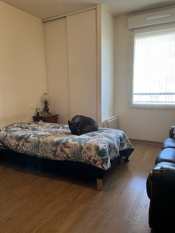 Appartement - 53 m² - 2 pièces