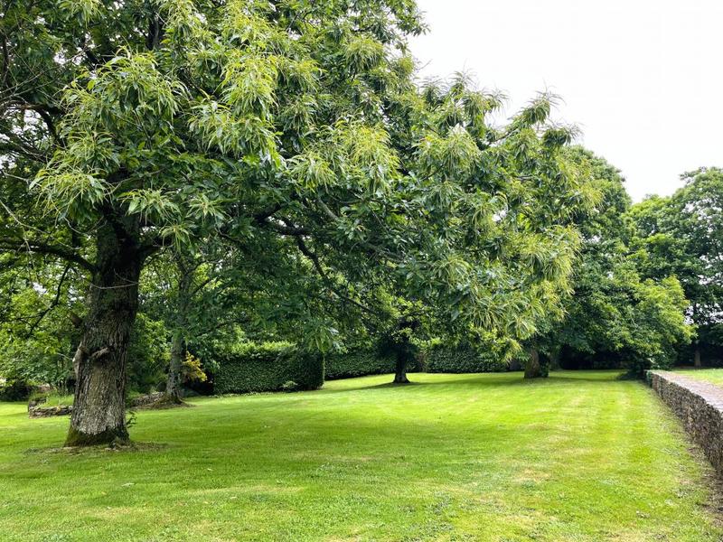 Maison - 194 m² - 10 pièces