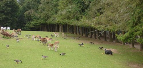 Parc Zoologique Quinquis