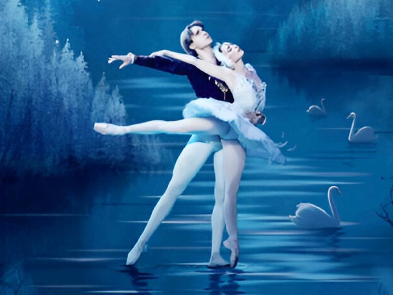 Spectacle : le Lac des Cygnes