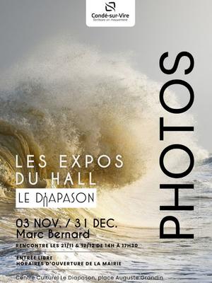 Exposition au Diapason &gt; Marc Bernard