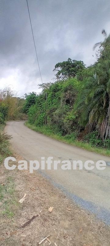 Terrain constructible - 7 647 m²
