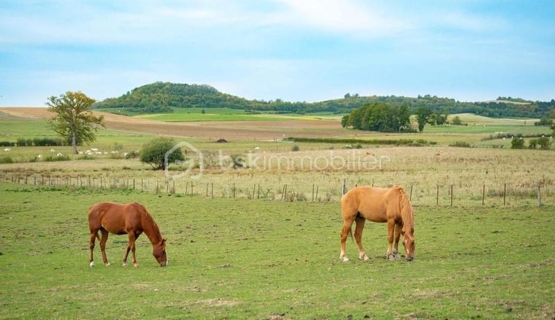 Maison de domaine équestre - 2 112 m² - 1 pièce