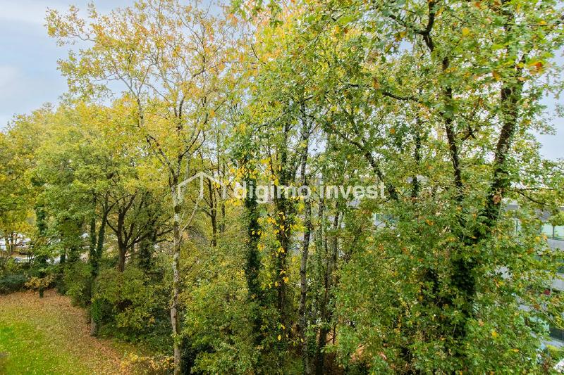 Studio - 21 m² - 1 pièce