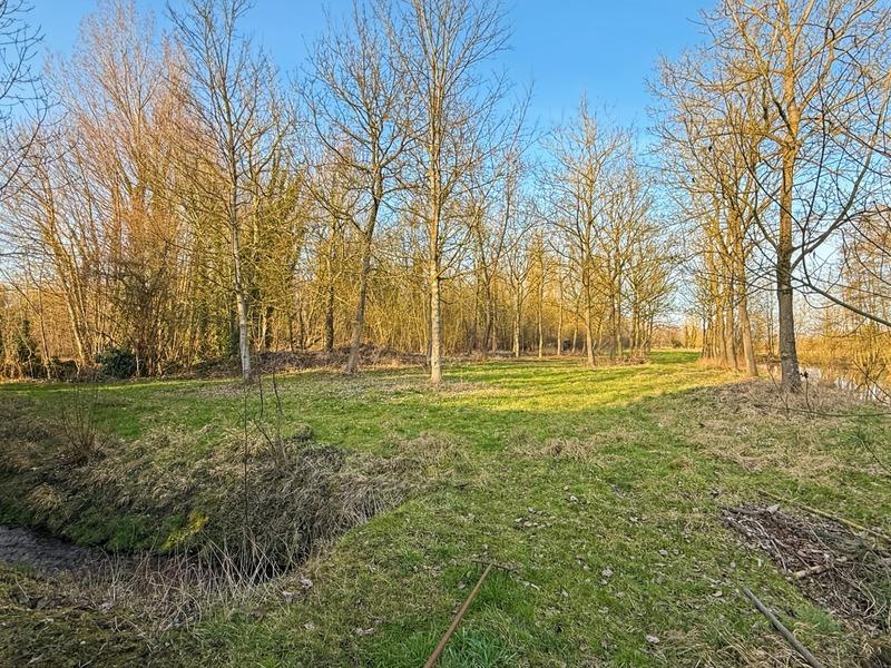 Maison bourgeoise - 173 m² - 7 pièces