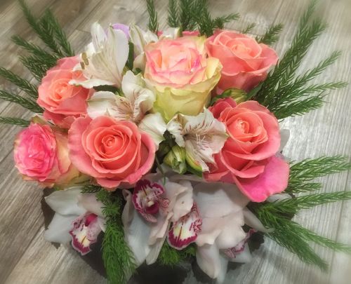 Le Jardin de Camille