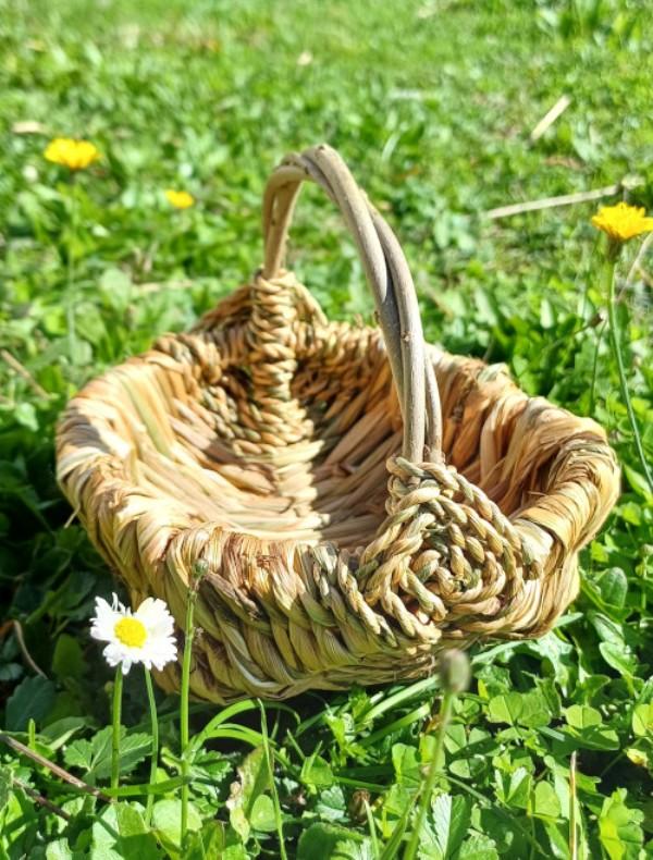 Balade découverte avec un vannier