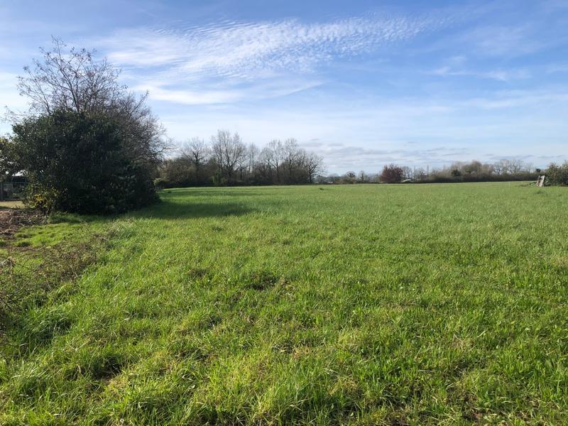 Terrain constructible - 10 045 m²