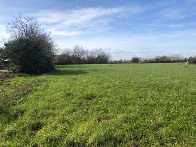 Terrain constructible - 10 045 m²