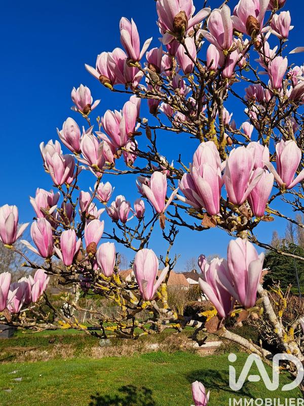 Maison - 128 m² - 7 pièces