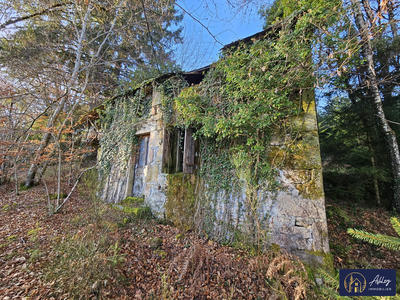 Maison ancienne - 30 m² - 1 pièce