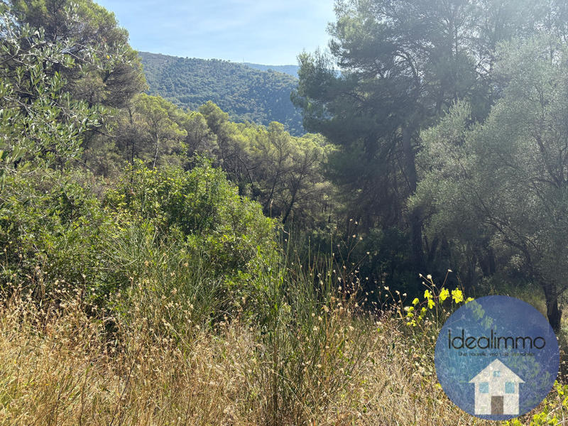 Terrain de loisirs - 20 000 m²