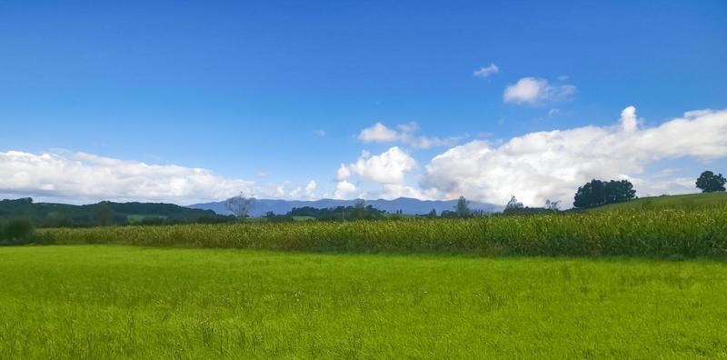 Terrain constructible - 11 000 m²