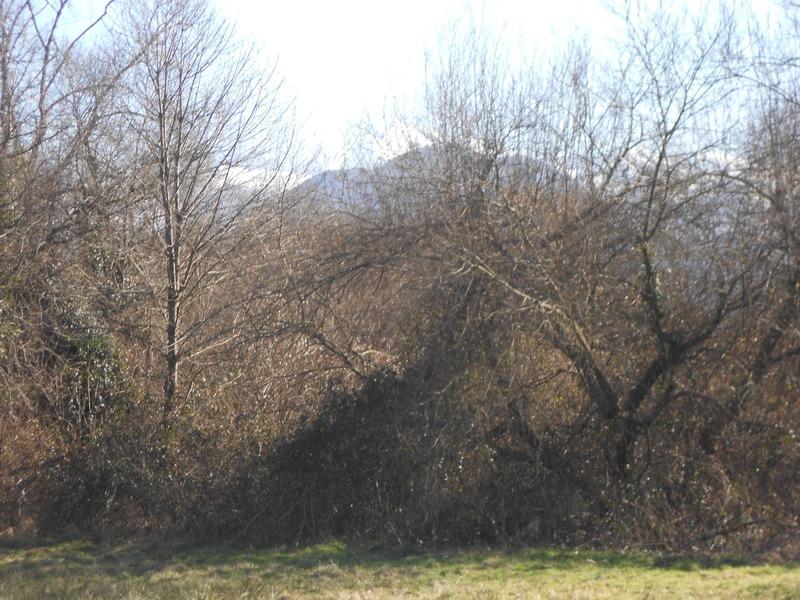 Terrain - 1 717 m²