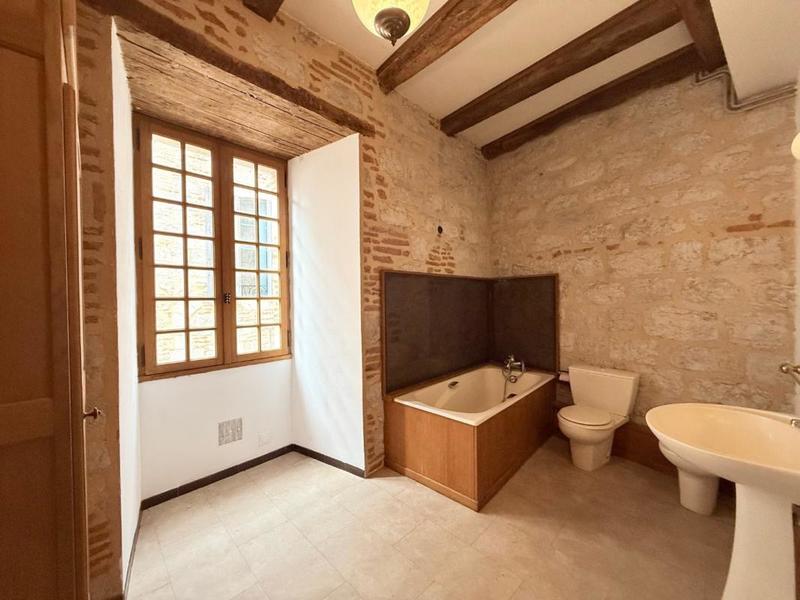 Hôtel particulier - 381 m² - 7 pièces