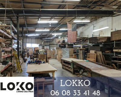 Local d'activité / Entrepôt - 700 m²