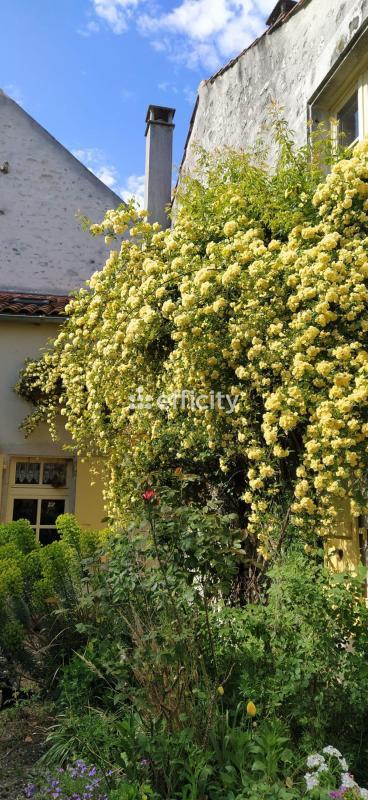 Maison - 307 m² - 10 pièces