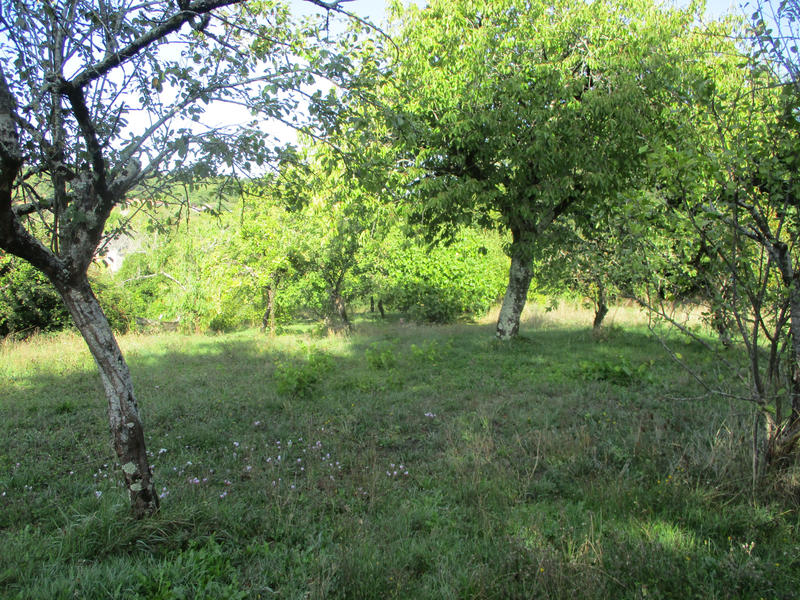 Maison - 69 m² - 4 pièces