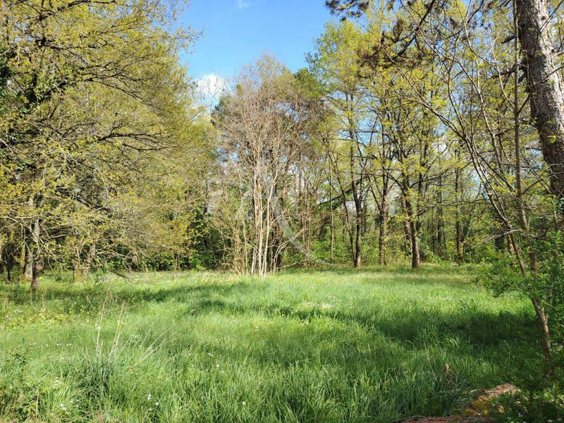 Maison - 154 m² - 6 pièces