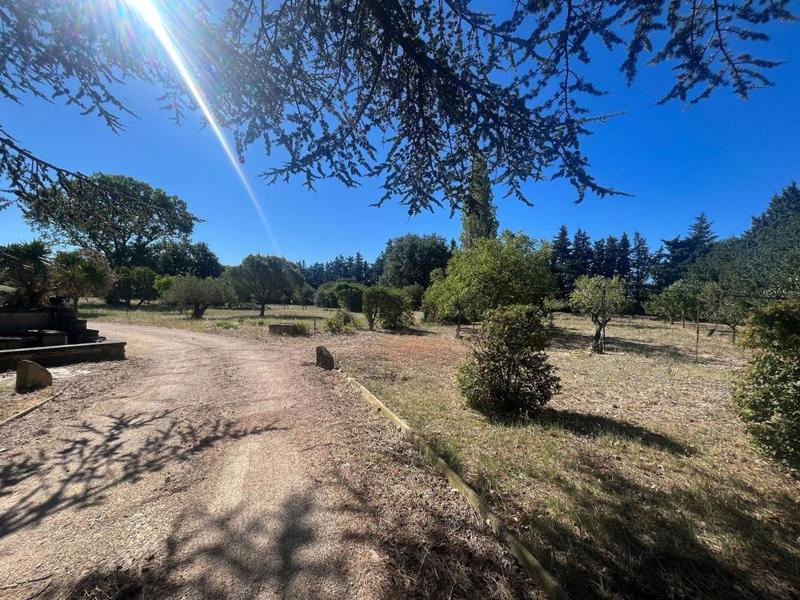 Maison - 230 m² - 6 pièces