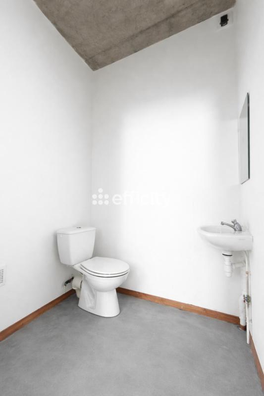 Loft - 57 m² - 1 pièce