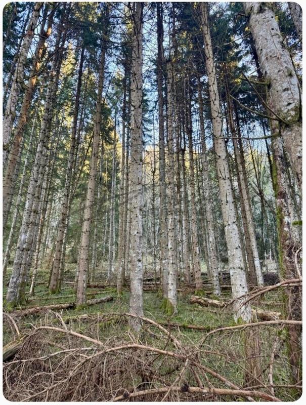 Terrain agricole - 15 405 m²