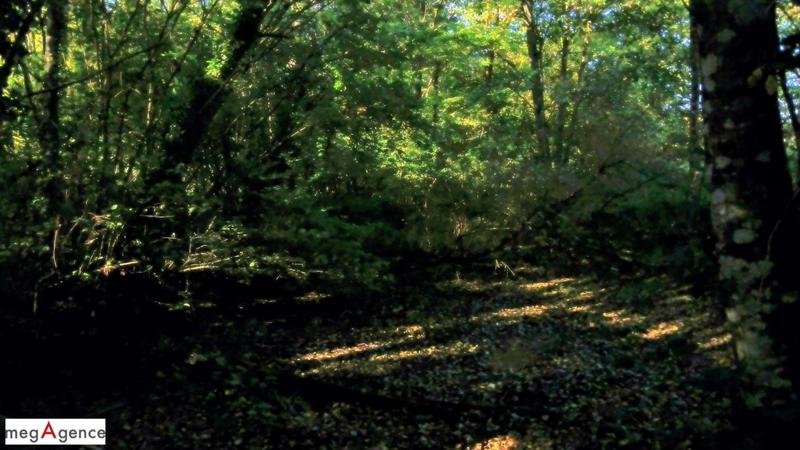 Maison traditionnelle - 120 m² - 5 pièces