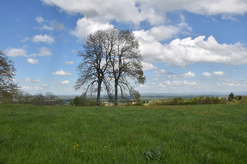 Corps de ferme - 210 m² - 7 pièces