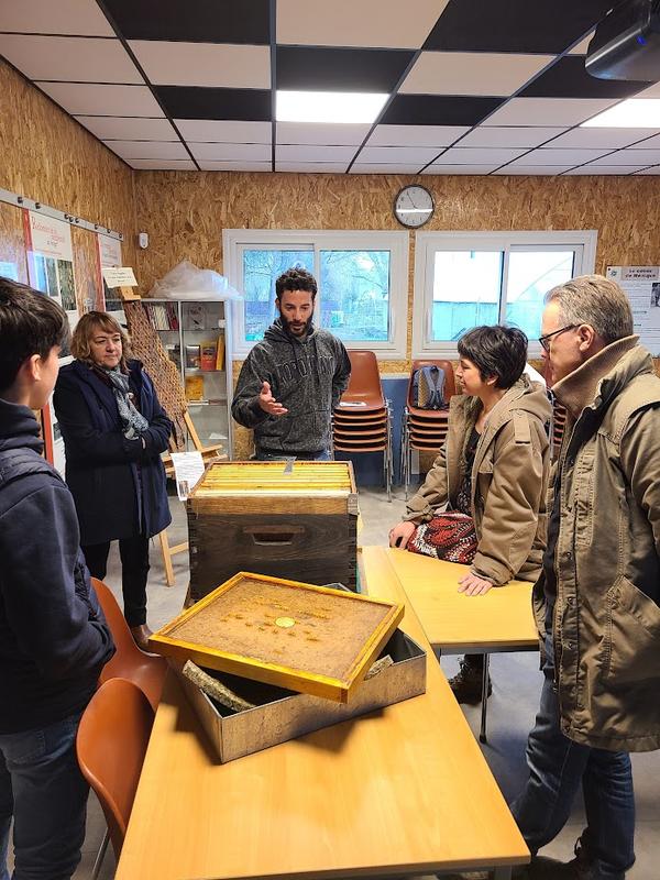 Formation apiculture