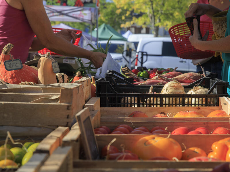 Le stand « tourisme &amp; loisirs » s’invite au marché !