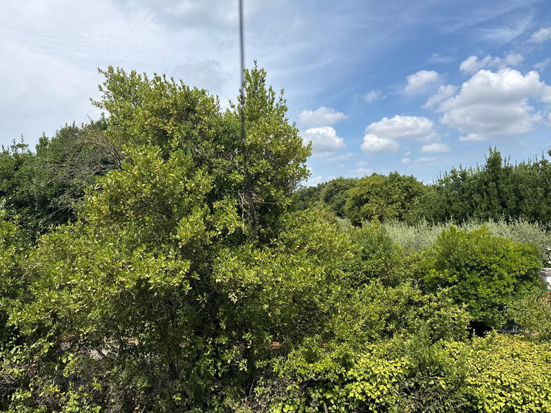 Maison - 125 m² - 4 pièces