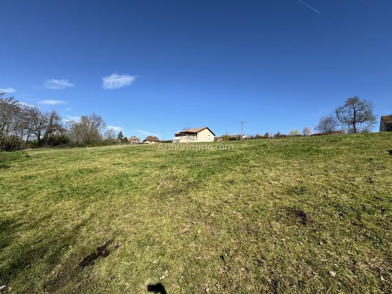 Terrain - 1 565 m²