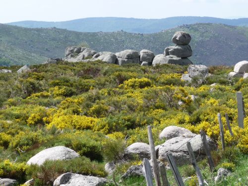 Le Relais de Modestine