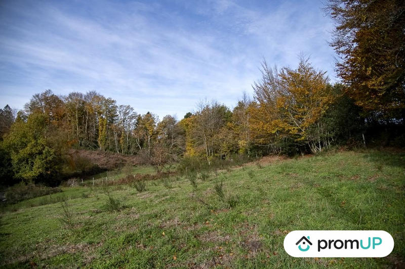 Terrain agricole - 30 568 m²