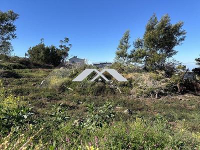 Terrain agricole - 512 m²