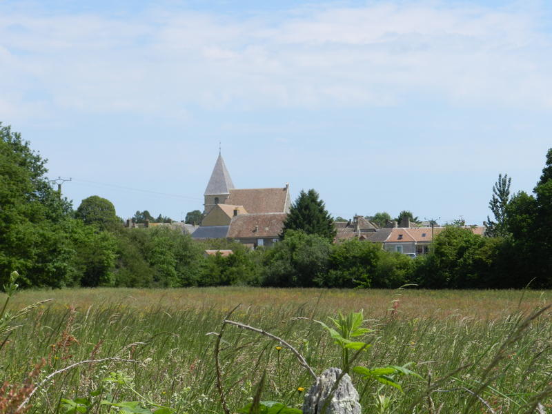 Randonnée pédestre printanière