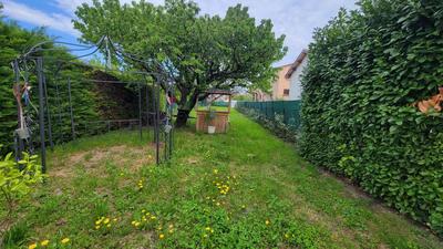 Maison - 55 m² - 2 pièces