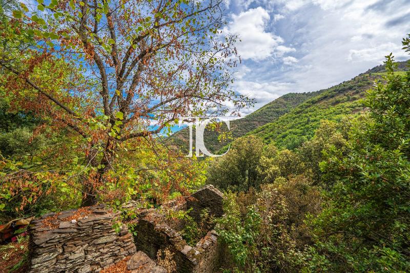 Maison en pierre - 82 m² - 7 pièces